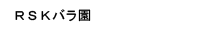 qrjo